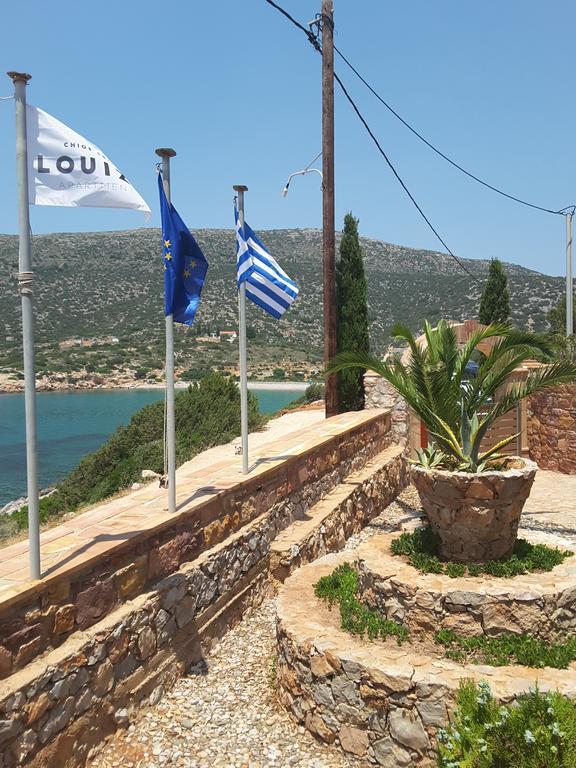 Louiza Apartments Πυργί Εξωτερικό φωτογραφία